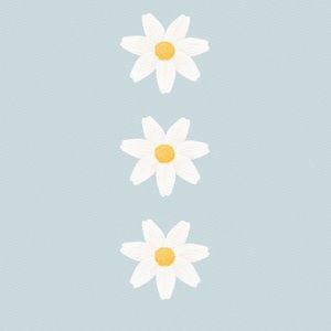 Meet your Posher, Joanna